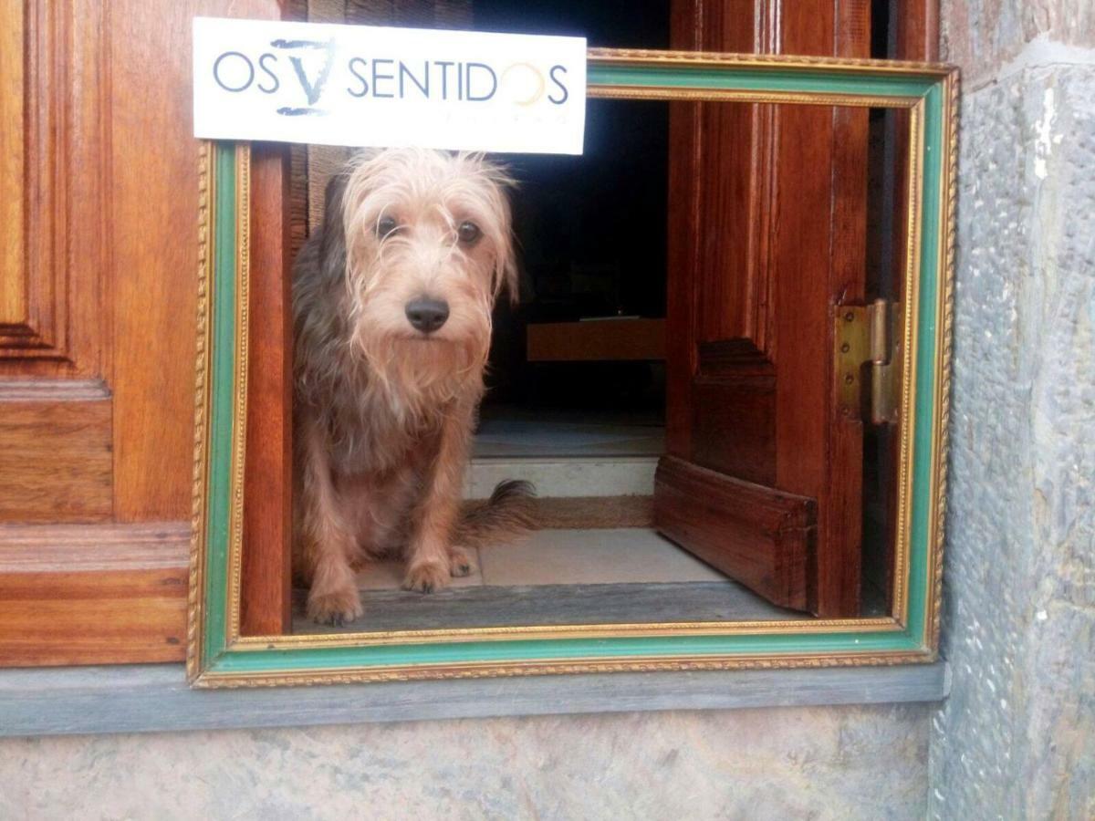 فيلا Os 5 Sentidos Mourão المظهر الخارجي الصورة